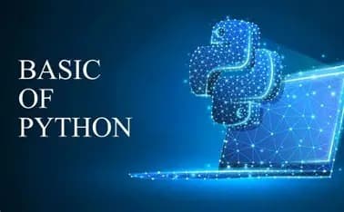 Python Basics online bootcamp
